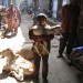 Jodphur Market thumbnail