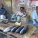 Kerala Street Vendor thumbnail