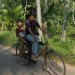 Bicycle Boys thumbnail