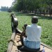 Kerala thumbnail
