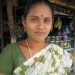 Green Sari thumbnail
