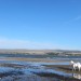 Inverness04 thumbnail