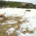 foamy fun thumbnail