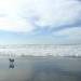 uni @ fort funston thumbnail