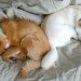 uni + iko yin + yang thumbnail