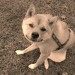 boki thumbnail
