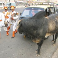 Traffic in Delhi