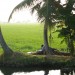 Kerala thumbnail