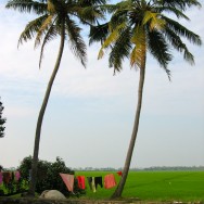 Kerala