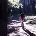 lagunitas trail thumbnail