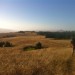 bolinas fairfax ridge trail thumbnail