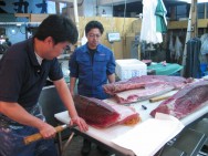 Tsukiji Market