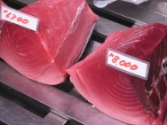 Tsukiji Market