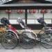 Rickshaws thumbnail