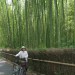 Bamboo + Bicycle thumbnail