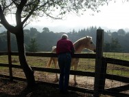 The Gray Horse Cowboy Will Ride Again 