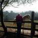 jayhorse thumbnail