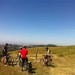 East Bay Rallycat - May '12 thumbnail