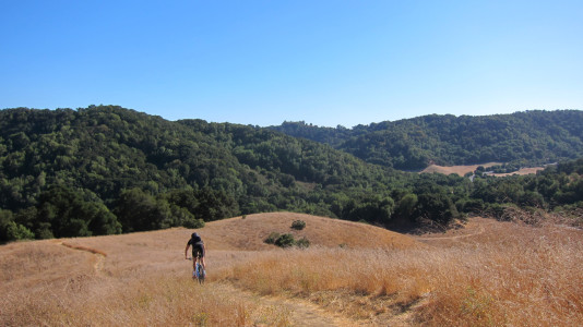 Briones01