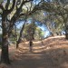 Briones16 thumbnail