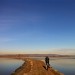 Coyote Creek thumbnail