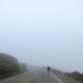 Woodside-Old La Honda-Alpine-San Gregorio-Tunitas Creek-Kings Mtn - Feb. '12 thumbnail