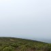 Mojo-Gestalt-Mojo Ride - Sept. '12 thumbnail