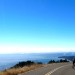 Mojo-Gestalt-Mojo Ride - Sept. '12 thumbnail