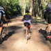 vive le tarte East Bay Hills CX Ride - Nov. '12 thumbnail