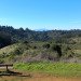 vive le tarte East Bay Hills CX Ride - Nov. '12 thumbnail
