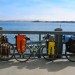 Bodega Bay thumbnail