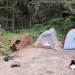 Bodega Dunes Campground thumbnail