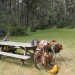 Salt Point State Park thumbnail
