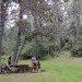 Salt Point State Park thumbnail