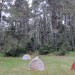 Salt Point State Park thumbnail