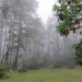 Salt Point State Park thumbnail
