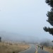 Salt Point State Park to Samuel P. Taylor thumbnail