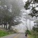 Salt Point State Park to Samuel P. Taylor thumbnail