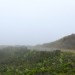 Salt Point State Park to Samuel P. Taylor thumbnail