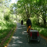 Cruising to Pt. Reyes Station