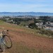 Mt. Sutro thumbnail