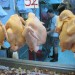 Hong Kong thumbnail