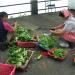 China thumbnail