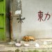 China thumbnail