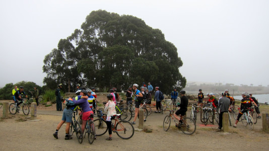 eastbaycx1
