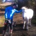Bridget's Little Pony thumbnail