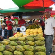Borneo