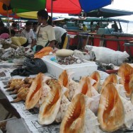 Borneo