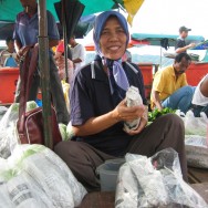 Borneo