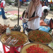 Borneo